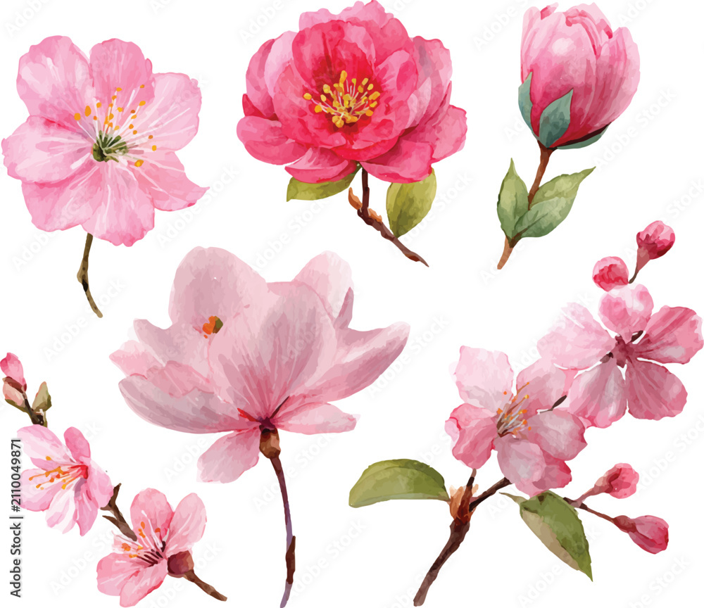 Obraz premium set of pink flowers