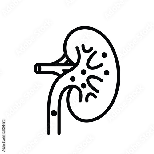 Human kidney icon with stones. Medical illustration of renal calculus and urology disease.