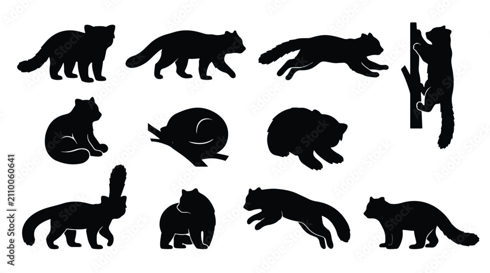 Obraz premium Black bear behavior and movement vector icon set. Featuring walking, running, sitting, climbing, and paw swiping poses. Wildlife animal illustrations for educational materials.