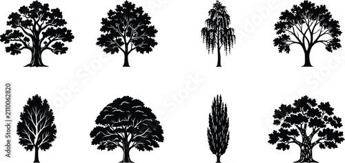 Bild auf Leinwand Oak, birch, poplar, and deciduous tree silhouettes collection for professional l