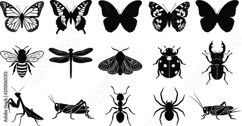 Fotografie Fifteen black silhouette of diverse insects and arachnids including butterflies,