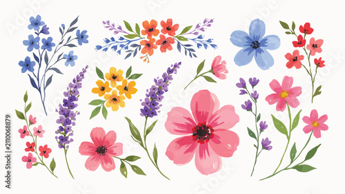 Watercolor wildflowers and botanical elements vector set, hand painted floral illustrations collection with lavender, daisies, and leaves isolated on white background