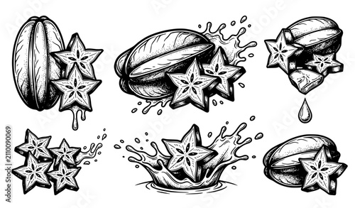 Bild auf Leinwand Starfruit carambola sketch vector illustration set with splashing juice drops whole pieces and star shaped slices