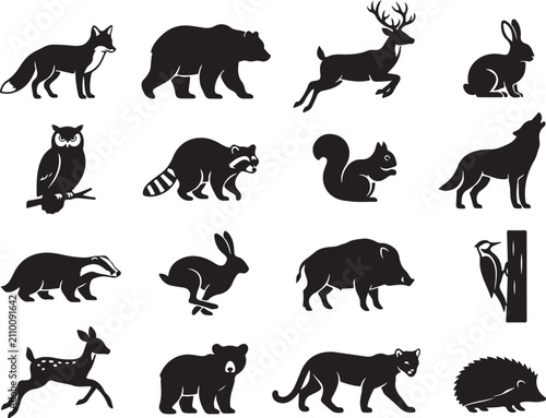 Photography Forest Animal and Woodland Wildlife Silhouette Icon Collection