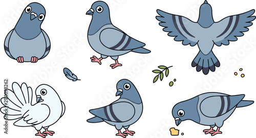 Foto Cartoon Pigeon and Dove Bird Vector Graphic Bundle Featuring Grey and White Pige