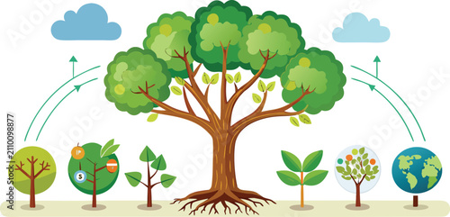 Tree life cycle with earth and clouds on white background