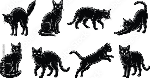 Vintage Black Cat Silhouette Collection with Halloween Feline Poses and Retro Engraving Illustrations