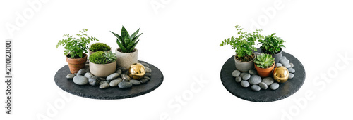 Two decorative slate platters with small potted plants, succulents, and golden spheres isolated on transparent background