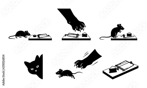 Bild auf Leinwand 70 Cat and Mouse Game: Predatory Pursuit, Hunting Danger, Pest Control, and Esca