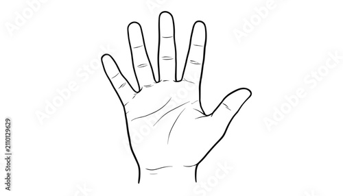 Minimalist hand-drawn black outline of an open human palm with fingers spread wide on a clean white background.