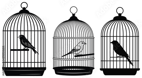 Obraz na plátně Birdcages With Birds Black Silhouette On White Background
