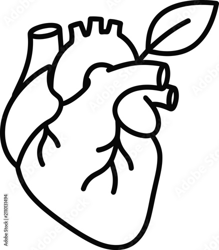 Human heart outline icon with a leaf symbol representing healthy cardiovascular system and natural cardiology concept cardiology wellness