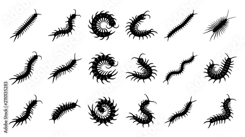 Foto Centipede and Millipede Black Silhouette Icon Set with Various Crawling Insects