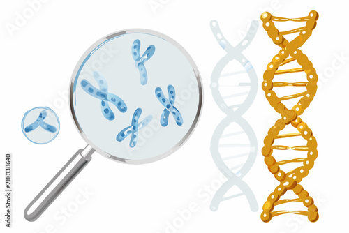 Dna strand and chromosome illustration with magnifying glass scientific diagram style