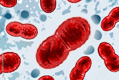 Cuadro en lienzo Red blood cells illustration with textured surfaces and a light blue background