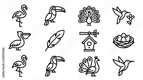 Schilderij op canvas Exotic Birds Icon Set: Flamingo, Toucan, Peacock, Hummingbird, Pelican, Feather,