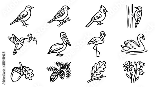 Obraz na płótnie Collection of Hand-Drawn Bird and Nature Icons