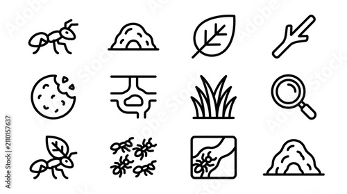 Foto Ant Icons Set: Colony, Insect, Food, Magnifying Glass & Nature Elements