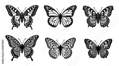 Collection Of Butterfly Silhouettes In Black And White Detailed Silhouette