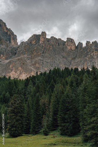 Bild auf Leinwand Imposing Grey Mountain Wall Overcast by Clouds