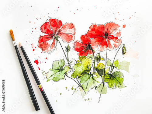 Watercolor Sketch of Red Geraniums with Brushes on White Background