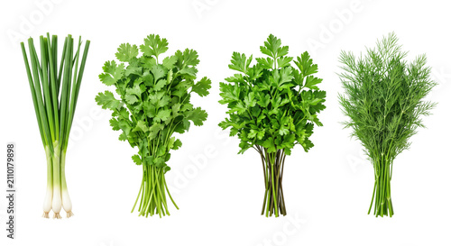 Quadro su tela Fresh herbs and green vegetables isolated set
