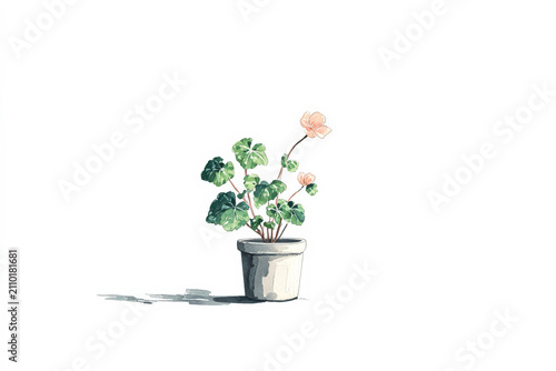Potted Plant Watercolor Illustration on White Background