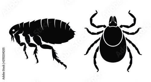 Foto Flea And Tick Insect Silhouettes On White Background Silhouette