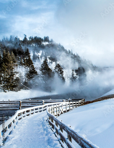 Thermal pools create mist that rises and floats through the trees in Yellowstone