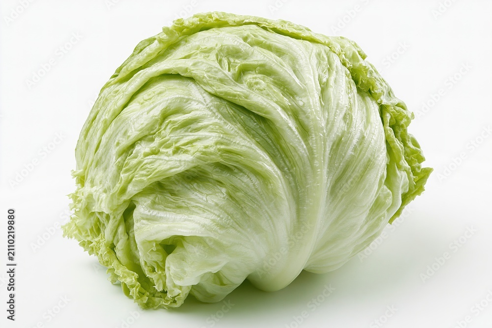 Fototapeta premium Fresh Green Cabbage Close-Up