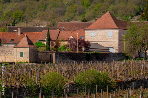 Vineyard in the prestigious Meursault wine region of Burgundy, France.

