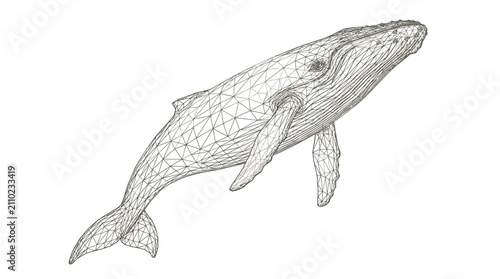 Canvastavla Detailed Line Drawing of a Humpback Whale Swimming.