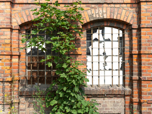 A window with broken glass in an old red brick building. Isolated background.