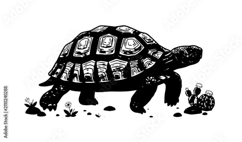 Konstfotografi Desert tortoise wildlife vector illustration walking in daytime isolated on whit