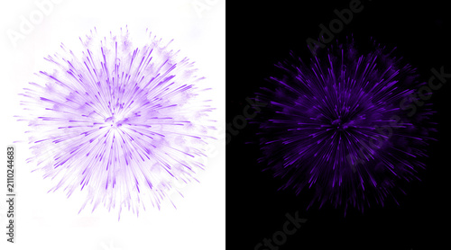 Fotografie Purple dandelion puffball macro on white and black background, abstract floral s