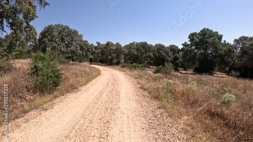 Via de la Plata, gravel road between Guillena and Castilblanco de los Arroyos, province of Seville, Andalusia, Spain