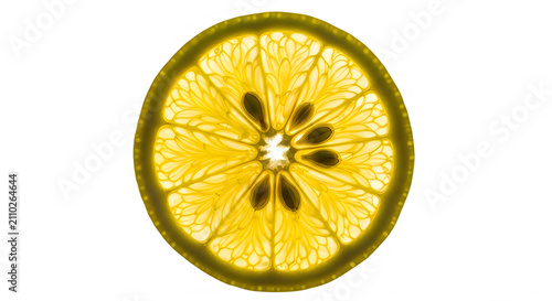 Fresh yellow lemon slice with seeds isolated isolated on transparent background