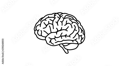 Fotografía Brain Vector Icon - Hand-Drawn Minimalist Line Illustration for Psychology, Ment