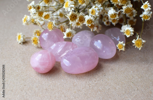 Round natural rose quartz pebbles against a background of dried chamomile flowers. Semi-precious natural stones for magic and meditation. Healing crystals.