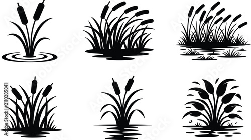Fotografie Cattail Silhouette Vector Set, Swamp Reeds, Bulrush, and Aquatic Marsh Plants