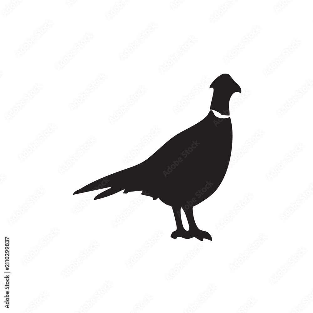 Fototapeta premium Black silhouette of a pheasant bird icon isolated on white background, Vector