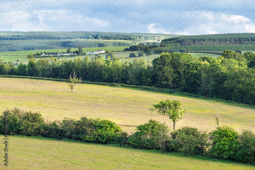 Rolling farmland with hedgerows and commercial conifer plantation