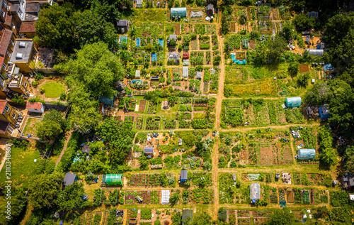Aerial allotment gardens in London with urban plots and green landscape