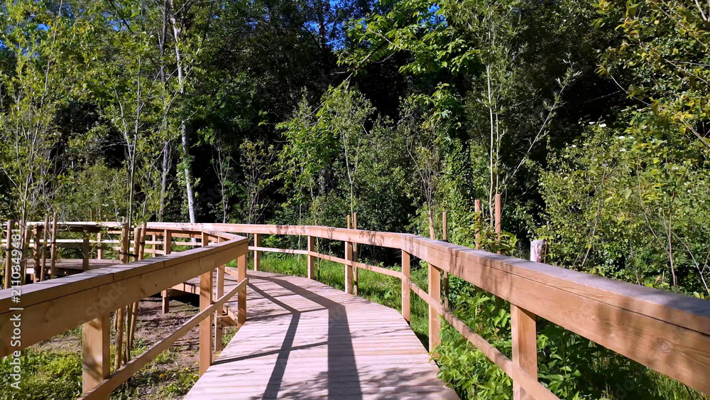 Obraz premium Smooth camera movement along a scenic wooden boardwalk winding through a dense green forest on a bright sunny day