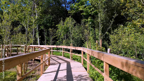 Smooth camera movement along a scenic wooden boardwalk winding through a dense green forest on a bright sunny day