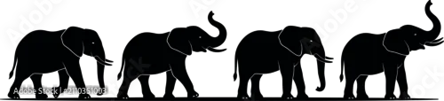 Obraz African elephant family silhouette vector illustration row of walking elephants isolated on white background minimalist black shape design for wildlife safari poster banner