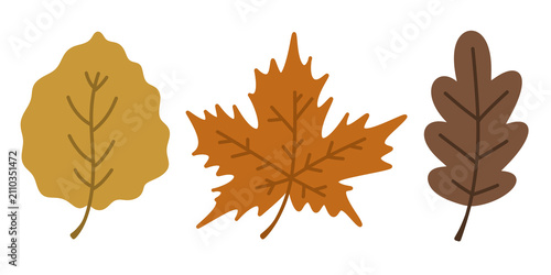 A set of three raster autumn elements: birch, maple, and oak leaves in a flat style.