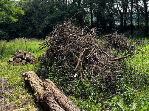 Принти на полотні Pile of brushwood and dry branches in field on Camino de Santiago