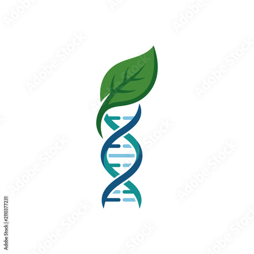 Genetic DNA Helix with Green Leaf.