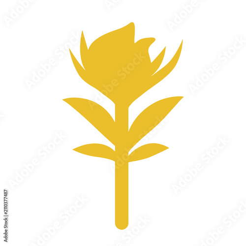 vector set of autumn leaves